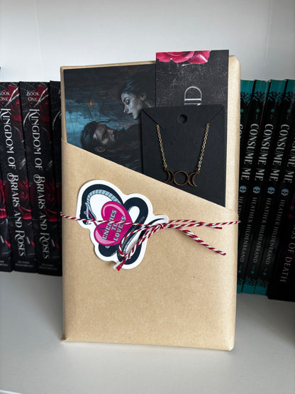 Blind Date with a Book Box- Winter Edition